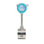 ODM Supported Flanged Type Multivariable Vortex Flowmeter for Precise Flow