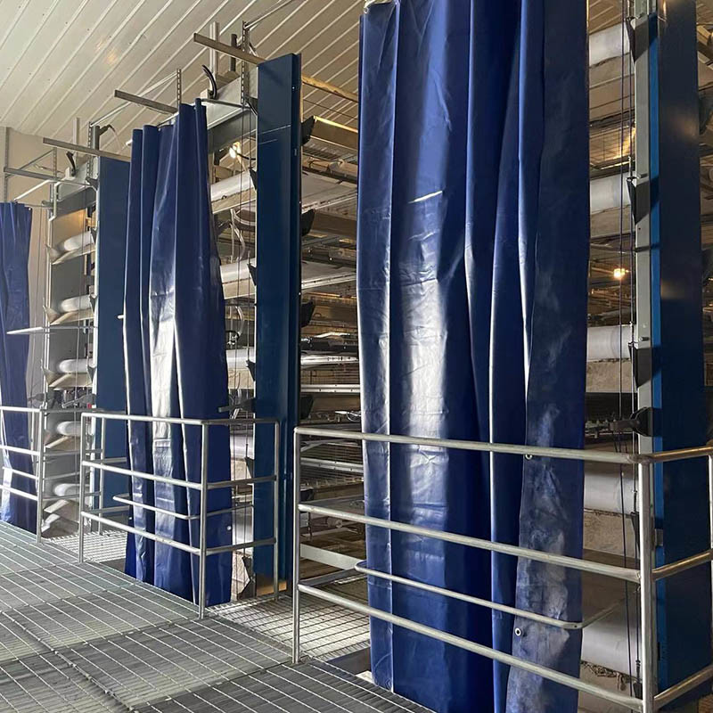 8 Degree Bottom Layer Chicken Cage Automated Battery Cage System Hi Hope