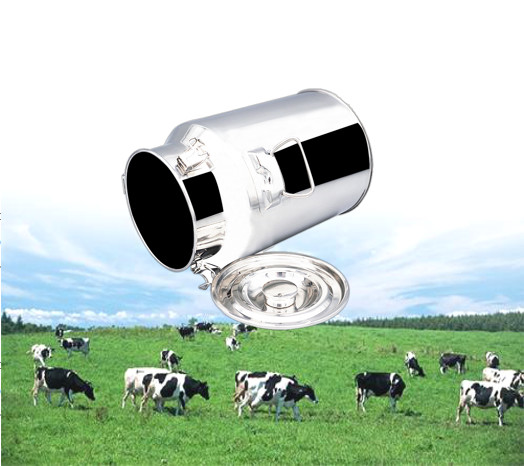 25L Honey Barrels Storage Bucket Grain Stainless Steel Drum Milk Barrel