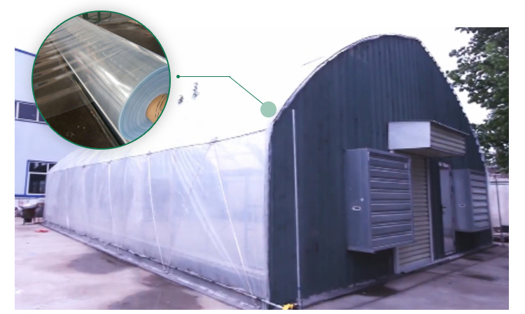 Length 30-100m Hoop House Light Deprivation Greenhouses for Mushroom Large