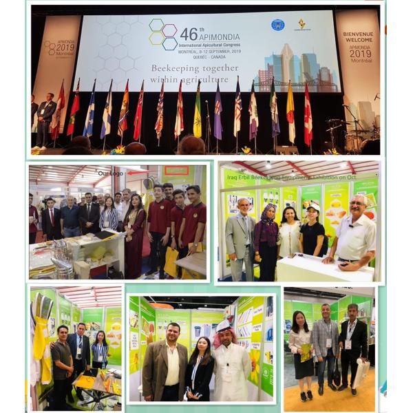 One Row Plastic Handle Horsehair Bee Brushes For Beekeeping