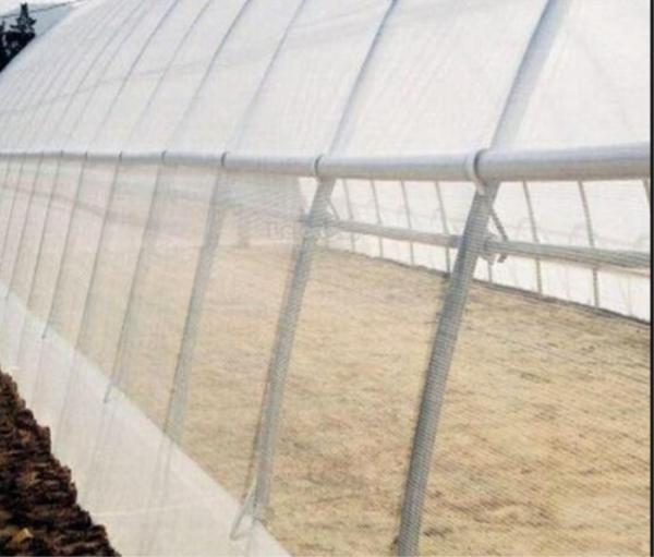 Quality Malla Insect Protection Netting Mosquito Nets Windbreaks ISO 9001 Standard for sale