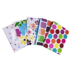 China PP Folder Wholesaler Customized Colourful Cover Clip 3 Holes A4 File Folder for Office wholesale