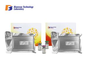 China 96 Wells 48 Wells Strong Sensitivity and SpecificityMouse LR Ob-R Lepr ELISA Test Kit Customized wholesale