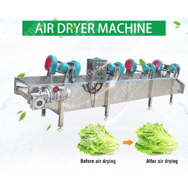 Cleaning Processing 500kg/h Fruits Vegetable Air Dryer