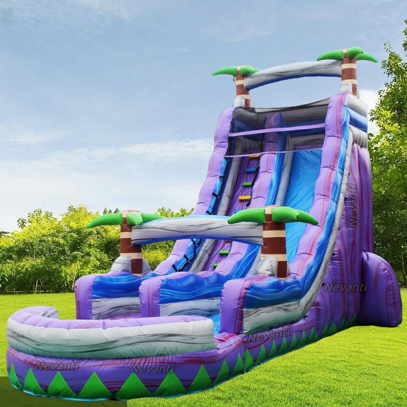 Customized Digital Printing Bouncy Castle Waterslide for Outdoor Fun and Parties