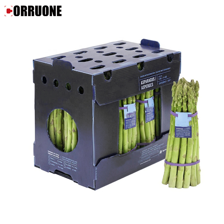 Asparagus Corrugated Plastic Produce Boxes Food Grade Black White