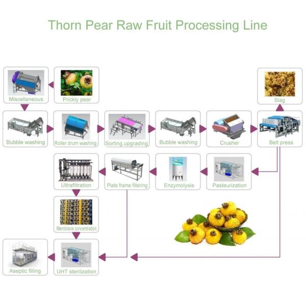 72Brix Concentrate Prickly Fruit Processing Line For Fruit Vegetable