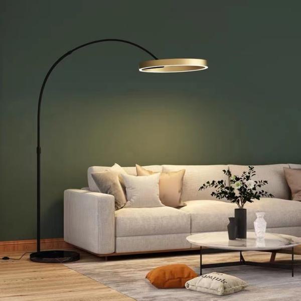 Nordic Fishing Circle Bedside Sofa Modern Gold led Bedroom Floor Lamp