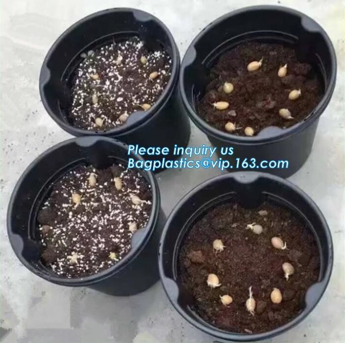 HOTICULTURAL MULCH FILM,AGRICULTURAL PE FILM,MARKET GARDENERS CLOCHE FILM,PE FILM FOR CORN,PLASTIC FILM COVER,TOMATO COV