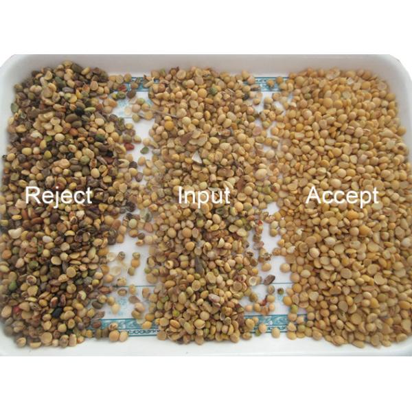 4 Chutes High Capacity Automatic Yellow Bean Green Bean Color Sorter Popular in the USA