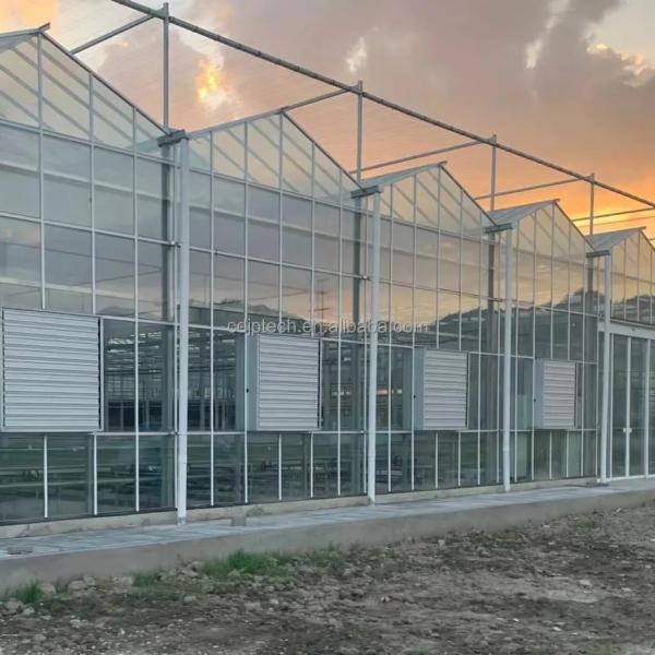 Quality Hydroponic System Multi Span Glass Greenhouse Commercial Agriculture Vertical Farming for sale