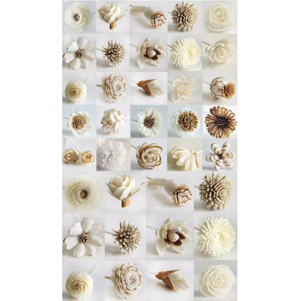 Home Fragrance Preserved Reed Diffuse Dried Sola Flower Reed Diffuser with Cotton Wick