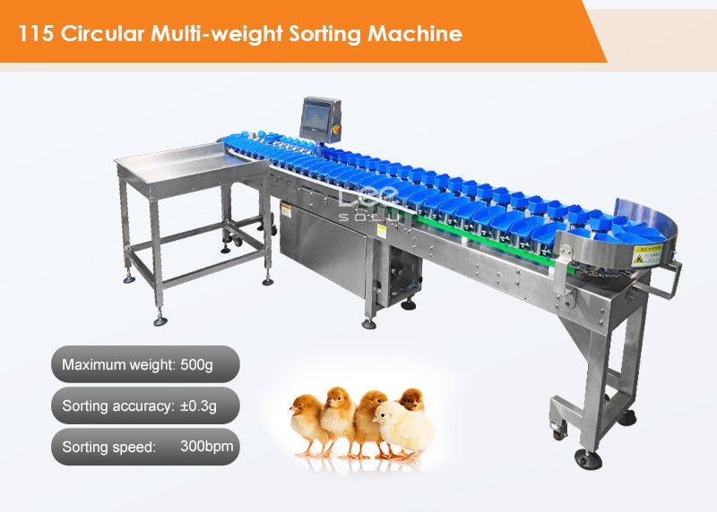 Easy Operation Tray Type Apple Lemon Peach Orange Kiwi Mango Avocado Fruit Grader Sorting Machine