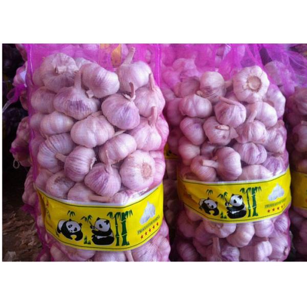 PE Woven Mesh Bags Printed Monofilament Mesh Sacks Wire Mesh Bags