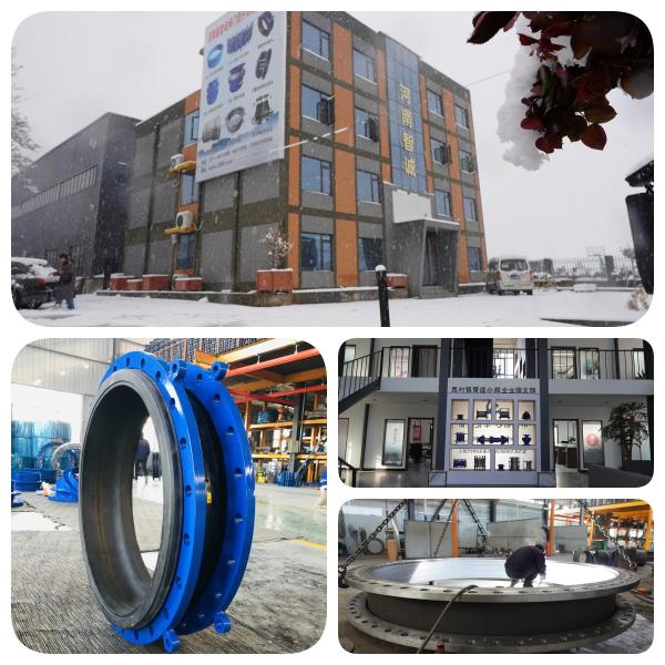 ISO9001 Connection Valve Fittings For Round Head Code Steel Expander Flange