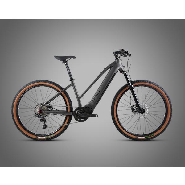 48V15Ah Lithium Battery Electric Bicycle with M510 Mid-Drive Motor and Sram NX Parts