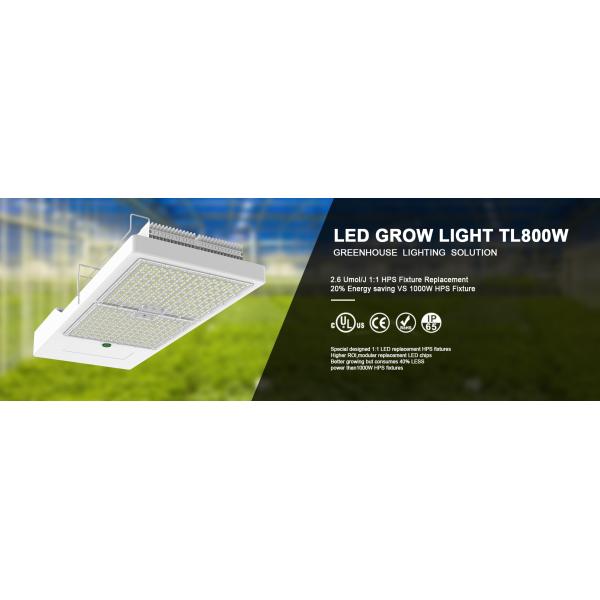 800W Greenhouse LED Grow Lights Replace Traditional HPS Lamps