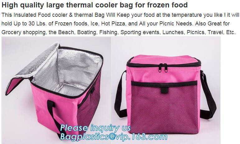 Customized logo printing insulated food delivery cooler bag,wholesale waterproof food delivery thermal bags bagplastics