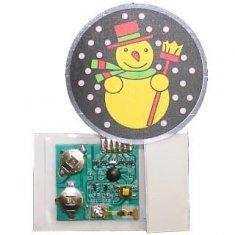 China Irradiance design waterproof LED Flash Module with flashing function for xmas decor wholesale