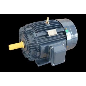 China Industrial Three-Phase Induction Motor IP55 Protection F Level on sale
