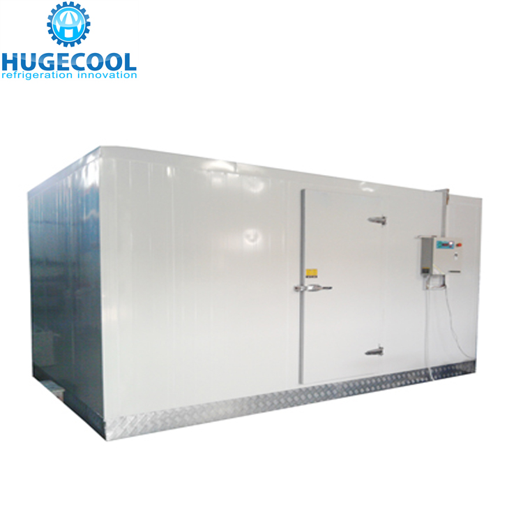 walk in freezer storage cold storage refrigeration blast freezer for fish
