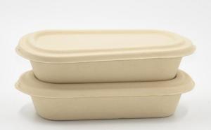 1000ml Biodegradable Straw pulp food container 2 compartments paper food tray with PP lid
