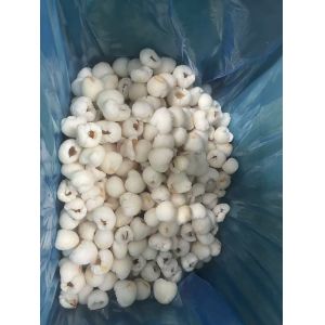China 2025 NEW CROP High Quality IQF ​Lychee wholesale