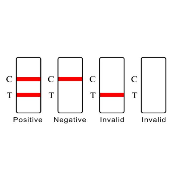 15 Minutes - 20 Minutes Self Test Rapid Antigen Test SARS-CoV-2