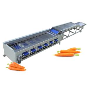 China Carrot Onion Potato Grading Machine Fruit And Vegetable Sorting Machine wholesale