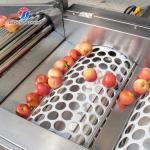 280KG Lemon screening and grading machine special stainless steel roller fruit