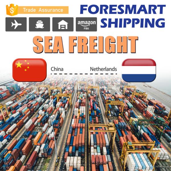 Quality Shenzhen To Netherlands FCL Ocean Freight Container Shipping for sale