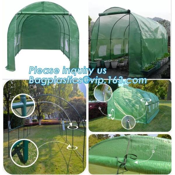 Agricultural Glass Green House for Commerical,Pop up Greenhouse Eco-friendly Fiberglass Poles Overlong Cover 98"x49"x53"