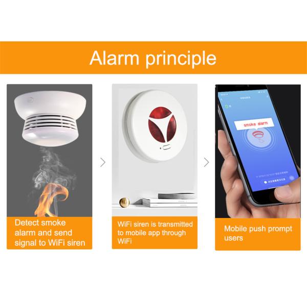 Wi-Fi Audible Alarm(SNT001W)