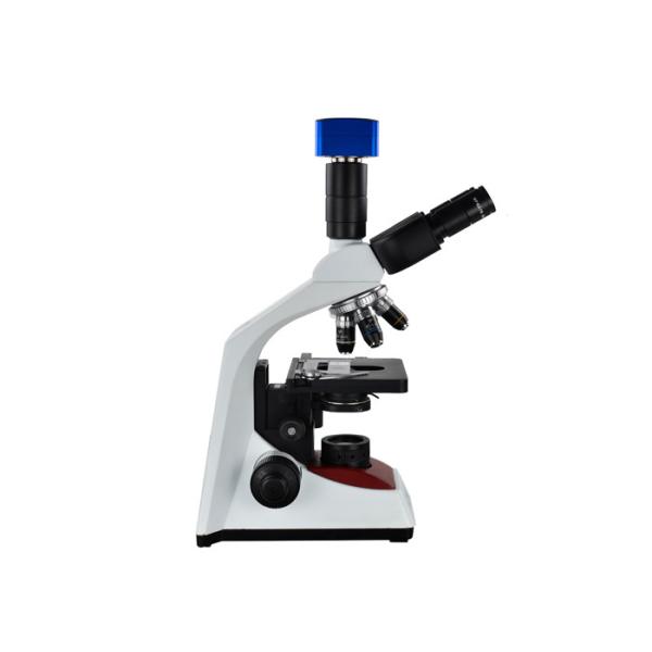 WF10X/18mm Laboratory Biological Microscope Tinocular Microscope With LED Lamp