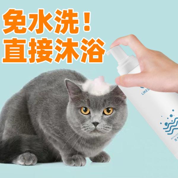 Water Free Kill Mite Deodorant Body Dry Cleaning Foam For Cat Bathing