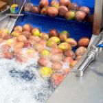 Circulating Hole Fruit Processing Line , Tengsheng Roller Conveying Vegetable