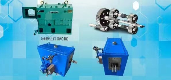 High Torque Twin Screw Extruder Elements with Customized Specifications and Imported Material