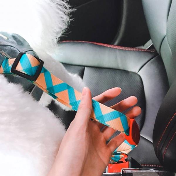 Nylon Extra Long Crash Tested Dog Car Seat Belt Harness Leash