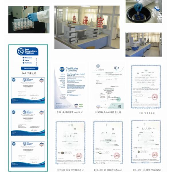Packaging Equipment for Packaging Capacity 260g and IS 09001 Certified