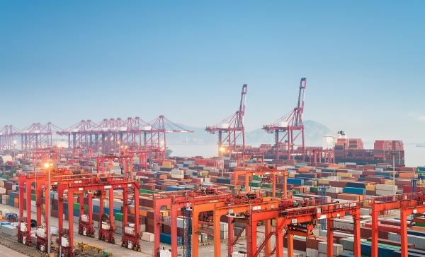 Quality China - USA Customs Declaration Service , Import Export Declaration Agent for sale