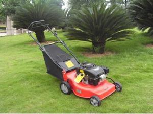 China Hand Push Portable 139cc Petrol Garden Lawn Mower Tractor XYM1P65FA on sale