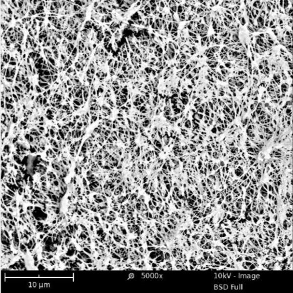 Quality Microporous Hydrophobic PTFE Membrane 0.05 - 0.45 Pore Size With Supporting Layer for sale