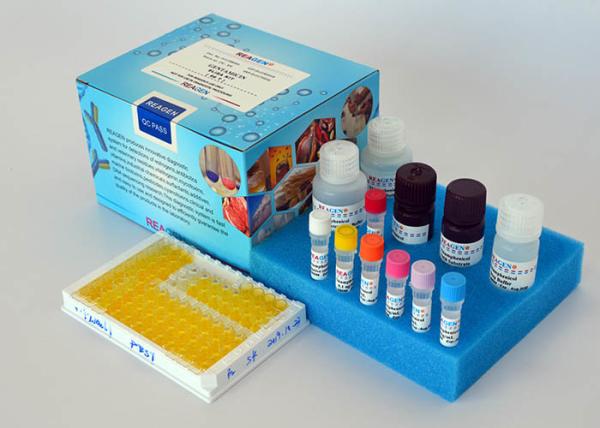 Quality Methyltestosterone ELISA Test Kit Rapid Detect Competitive Enzyme Immunoassay for sale