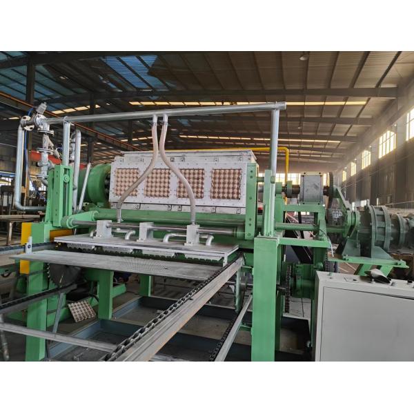 Efficient Apple Tray Making Machine With Frequency 50HZ For Smooth Production
