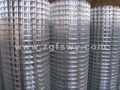 galvanized welded wire mesh
