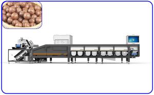 China Stainless Steel 380V Grading Sorting Machine 6 Channel High Speed Sorter wholesale