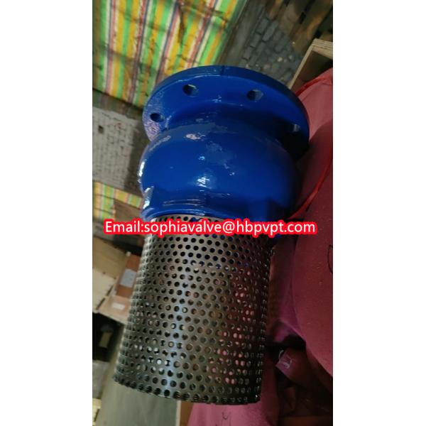 JIS ANSI 125LB cast iron flanged foot valve