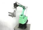 Hand Loading And Unloading Small Industrial Robot For Pack Machine