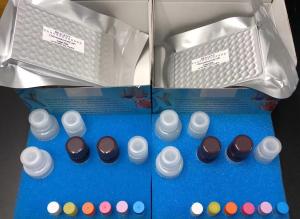 Professional ELISA Test Kit / ELISA instruments Manufacturing Technical Export